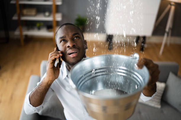 Best Sewage cleanup and water damage restoration  in Pocono Woodland Lakes, PA