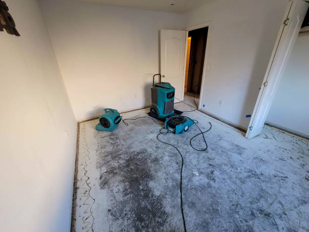 Best Flooded house restoration  in Pocono Woodland Lakes, PA