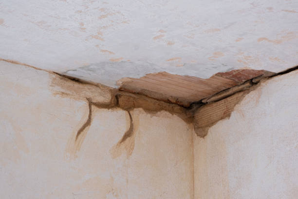  Pocono Woodland Lakes, PA Water damage restoration Pros