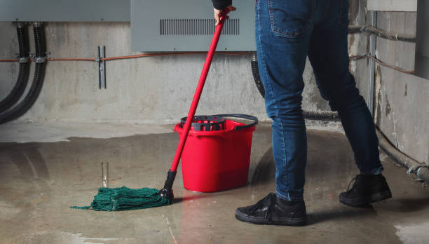 Best Sewage cleanup and water damage restoration  in Pocono Woodland Lakes, PA