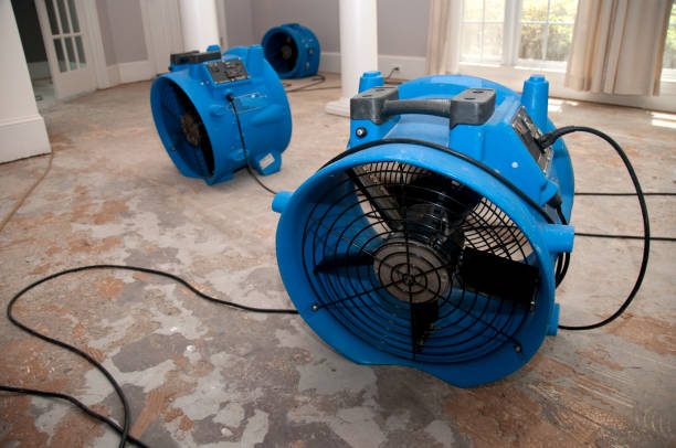 Best Commercial water damage restoration  in Pocono Woodland Lakes, PA