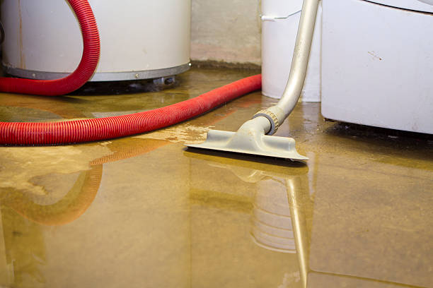 Best Water damage restoration near me  in Pocono Woodland Lakes, PA
