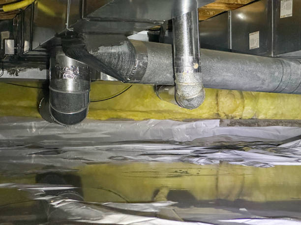 Best Professional water damage repair  in Pocono Woodland Lakes, PA