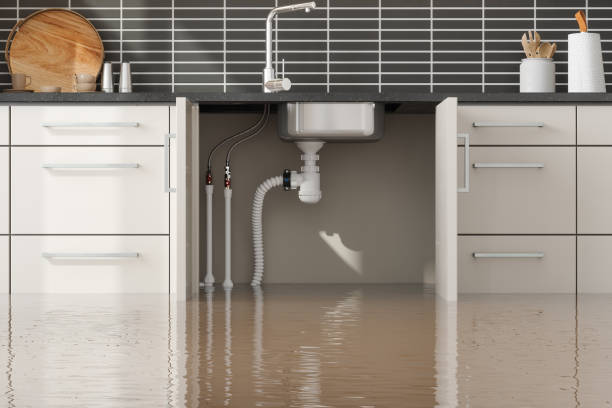 Best Carpet water damage restoration  in Pocono Woodland Lakes, PA