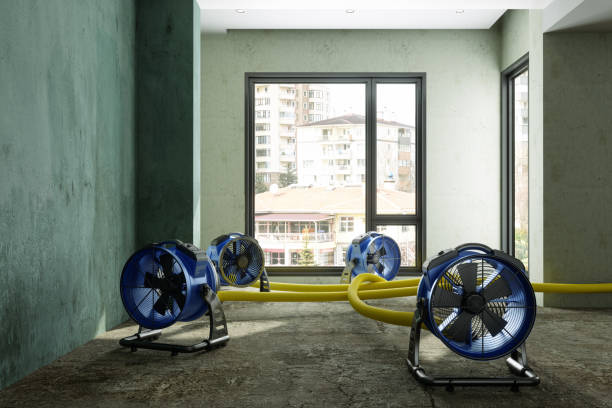 Best Basement water damage restoration  in Pocono Woodland Lakes, PA